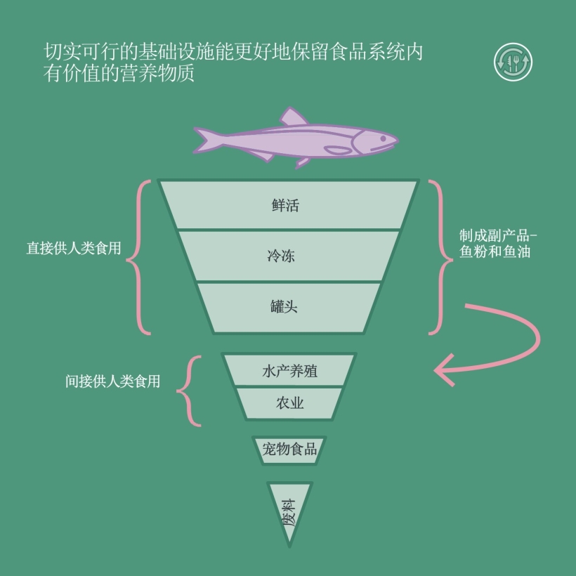 切实可行的基础设施能更好地保留食品系统内有价值的营养物质