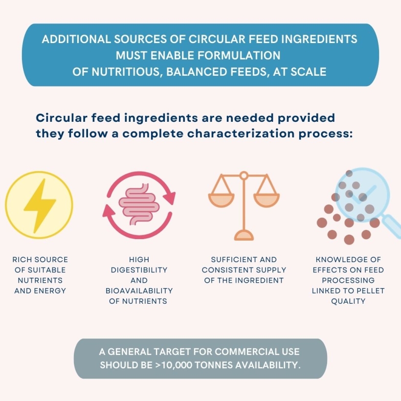 Additional sources of circular feed ingredients must enable formulation of nutritious, balanced feeds, at scale