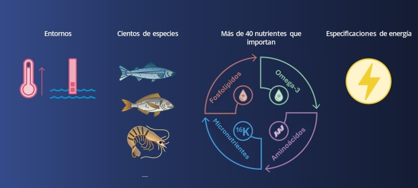 En la actualidad, se producen diferentes alimentos balanceados para diferentes especies y entornos en función de especificaciones variables de nutrientes y energía.