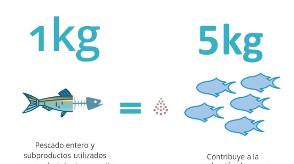 La evolución de las métricas de sostenibilidad de los ingredientes marinos