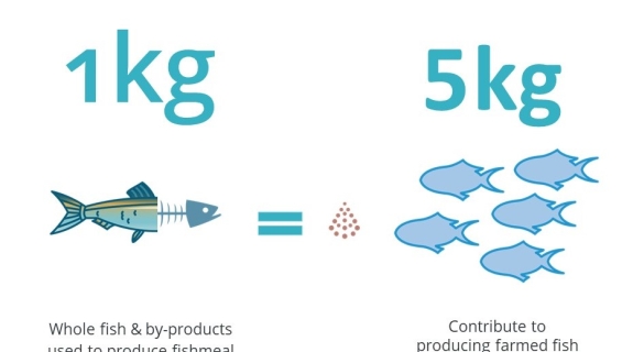 The Evolution of Sustainability metrics for marine ingredients