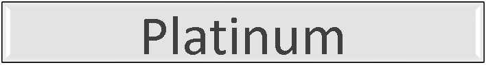 Silver Sponsor