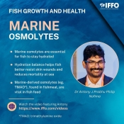 Marine osmolytes.jpg